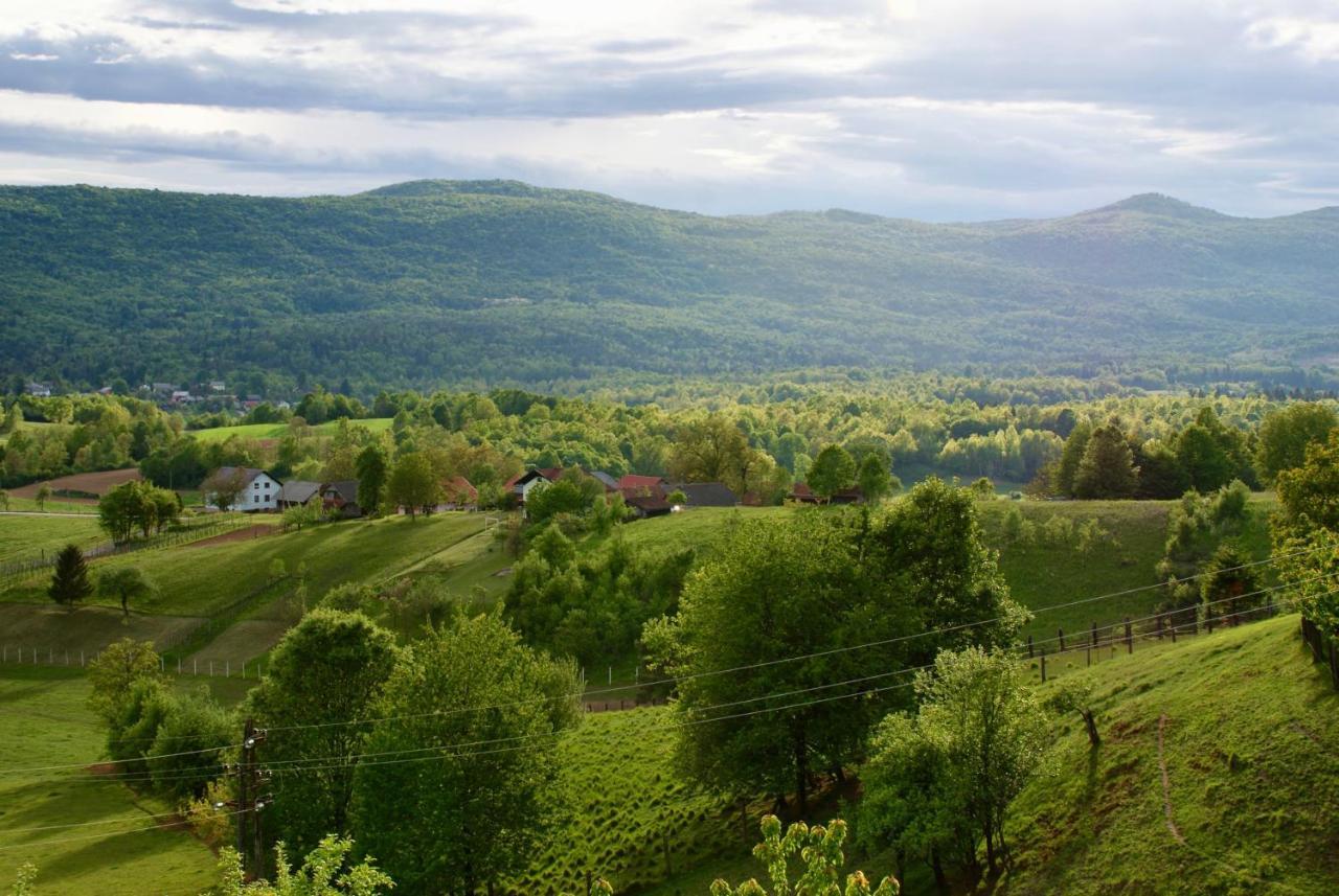 Frankovic Bed&Breakfast Vinica Luaran gambar